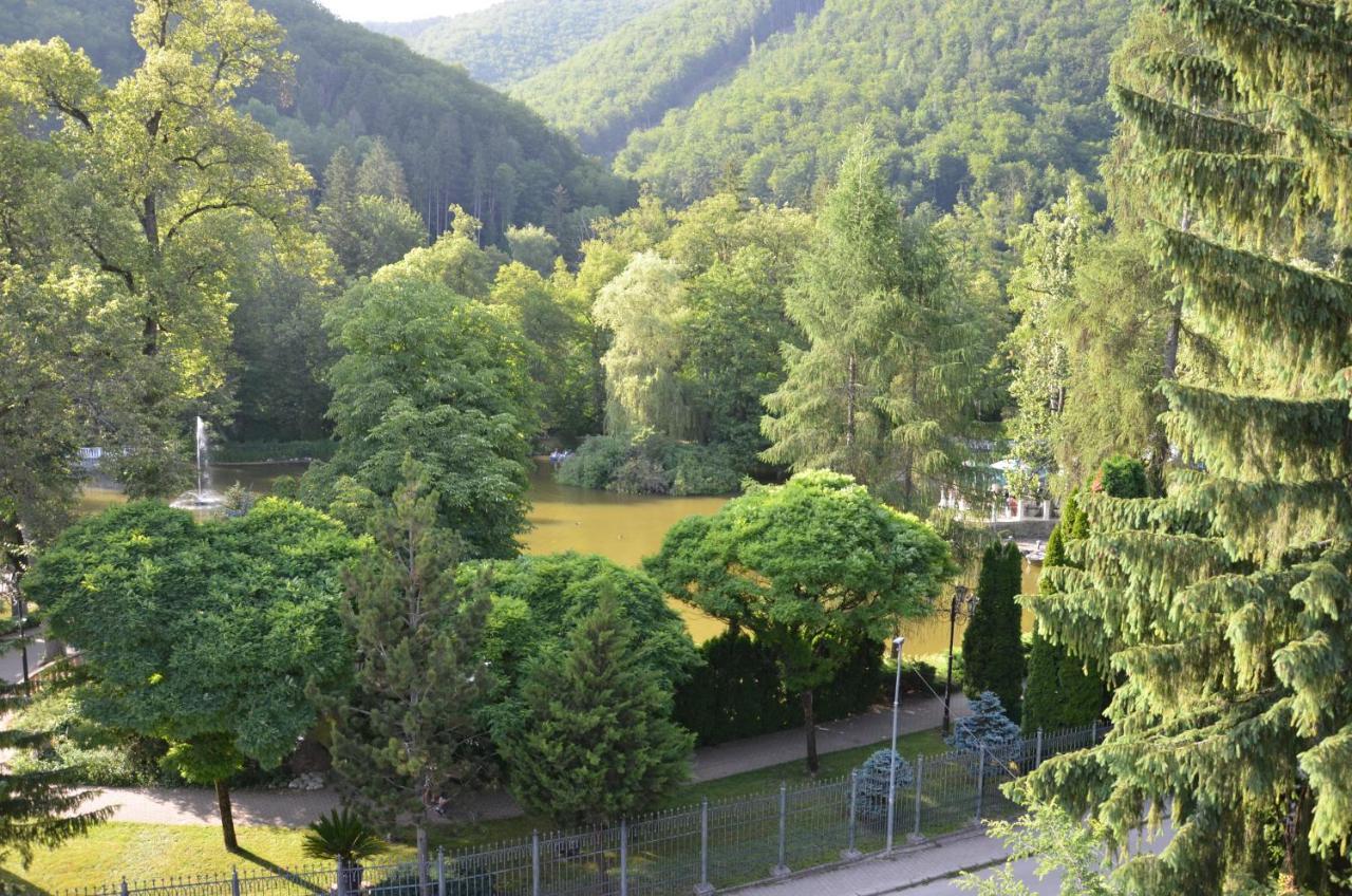 Floravilla Rajecké Teplice Εξωτερικό φωτογραφία